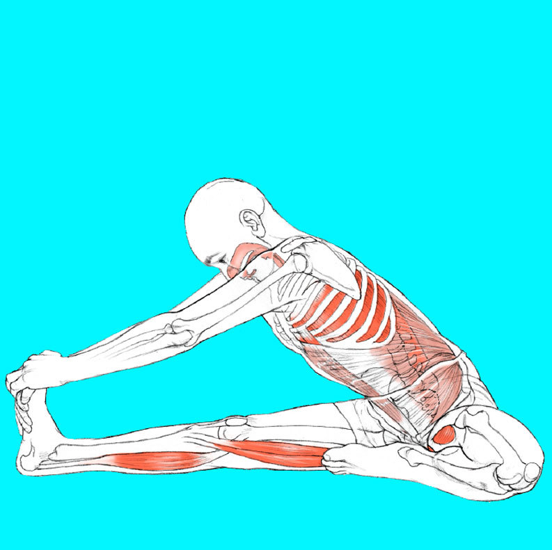Упражнения для восстановления эластичности мышц