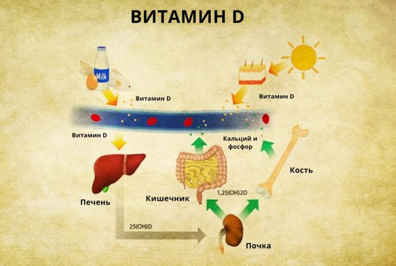 ТОП-5 признаков дефицита витамина D
