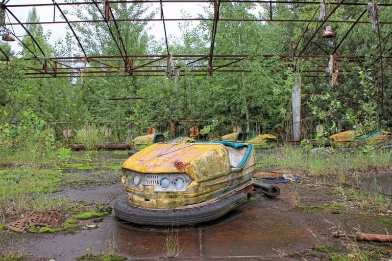 Почему в зоне Чернобыльской катастрофы так прекрасно сохранилась растительность?