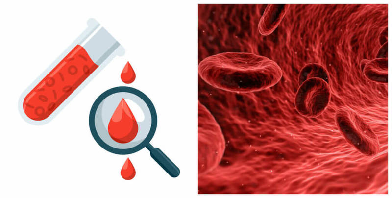 Анализ крови: 18 тестов, которые расскажут о истинном состоянии здоровья