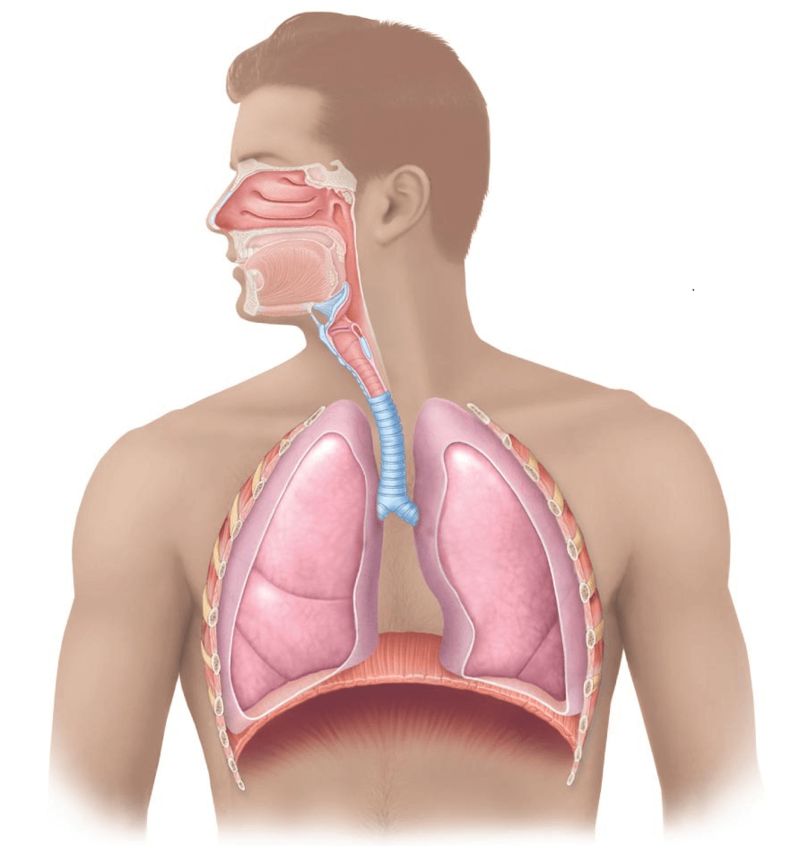 Туберкулез гортани: Первые симптомы 