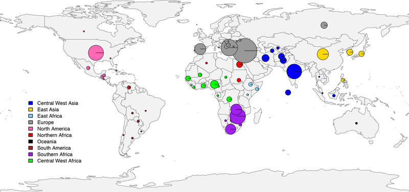 Исследование: Генетическое разнообразие арбузов