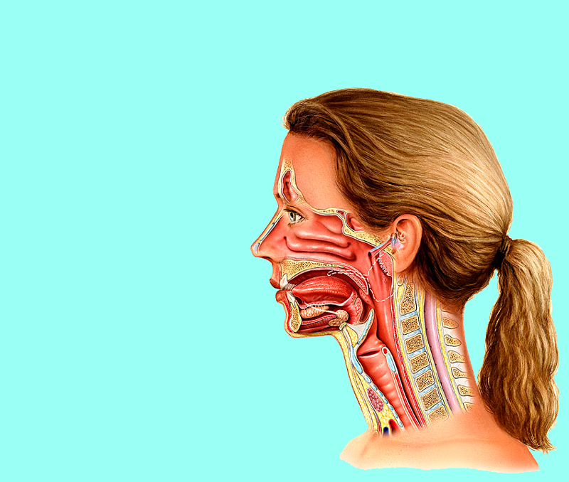 Как убрать отёки на лице: 6 советов от остеопата