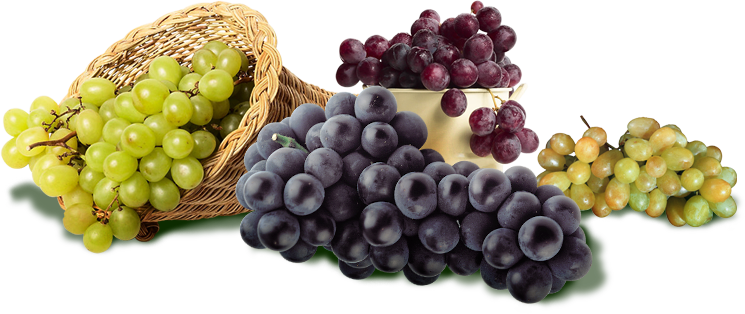 Антиоксидант в винограде эффективен для лечения акне