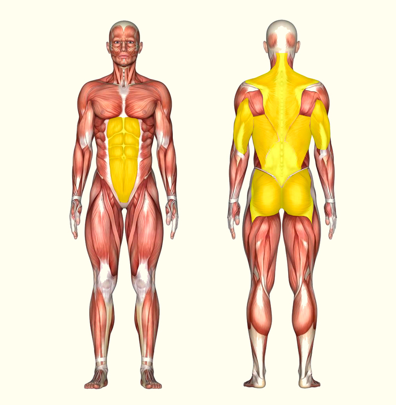 Укрепляем спину и кор: лучшие упражнения без отягощения