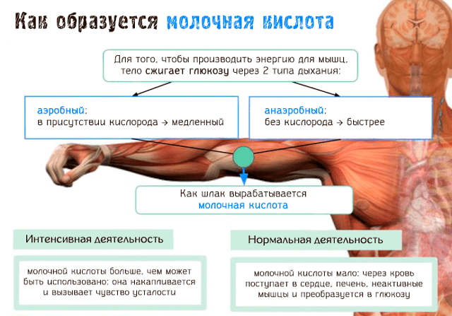 12 продуктов, которые спасут от боли в мышцах после тренировки