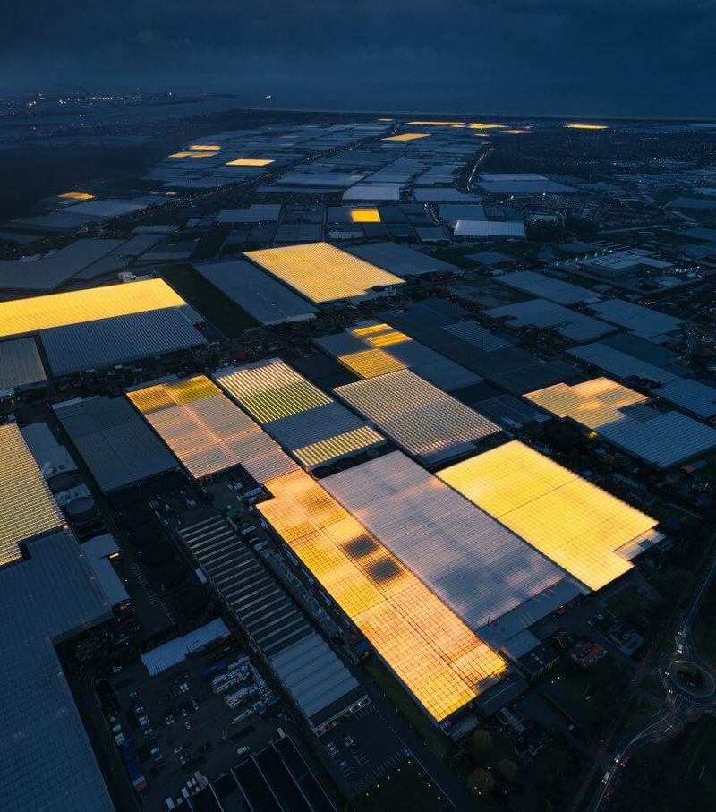Том Хеген фотографирует светящиеся оранжереи Нидерландов