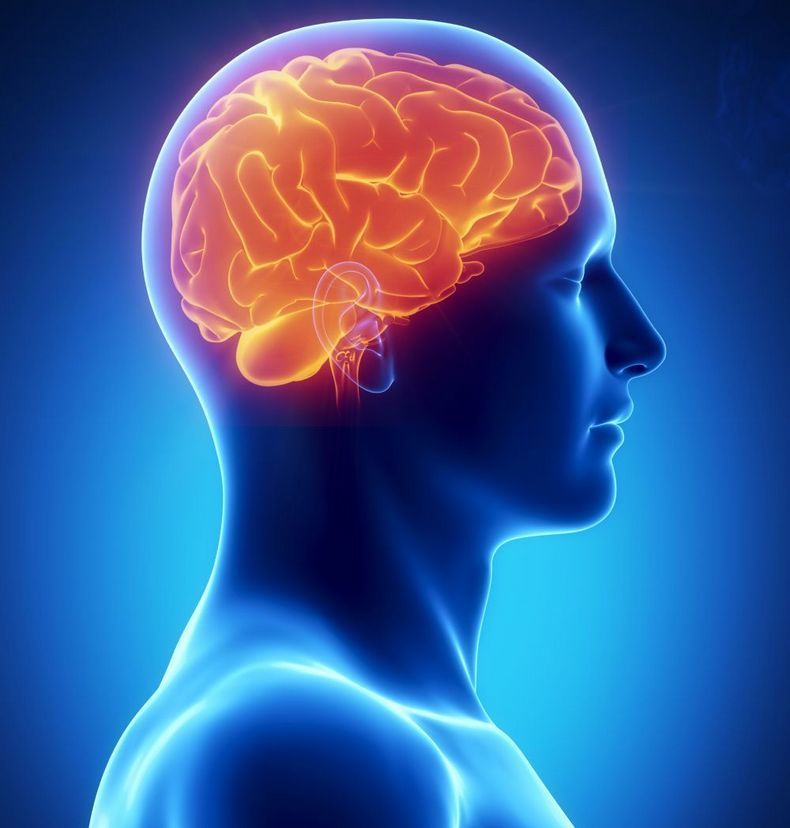 3 совета нейрохирурга как повысить эффективность работы мозга