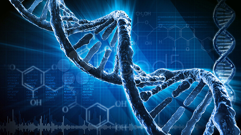 Как личный опыт предков влияет на жизнь потомков – расскажет эпигенетика