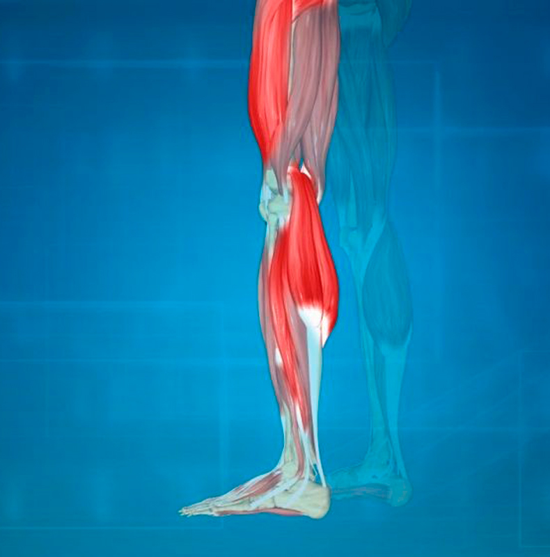 Как проверить здоровье ног: советы ортопедов