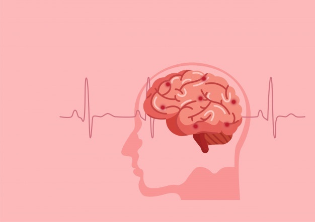 «Анти-Альцгеймер»: Как поддержать здоровье мозга при помощи питания