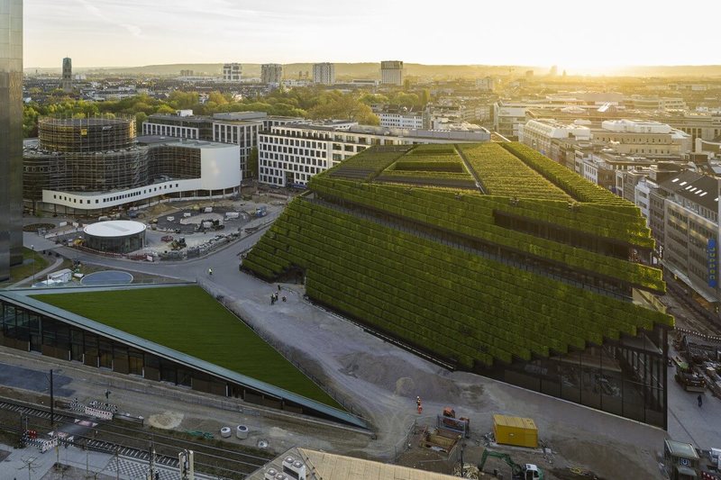 Самый большой в Европе зеленый фасад насчитывает 30 000 живых изгородей
