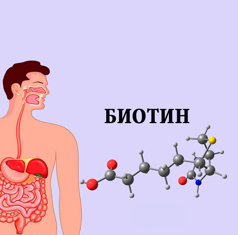 Витамин Биотин: краткое руководство по применению