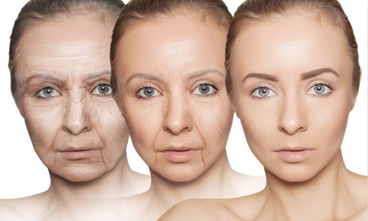 34, 60 и 78 лет: 3 этапа старения организма