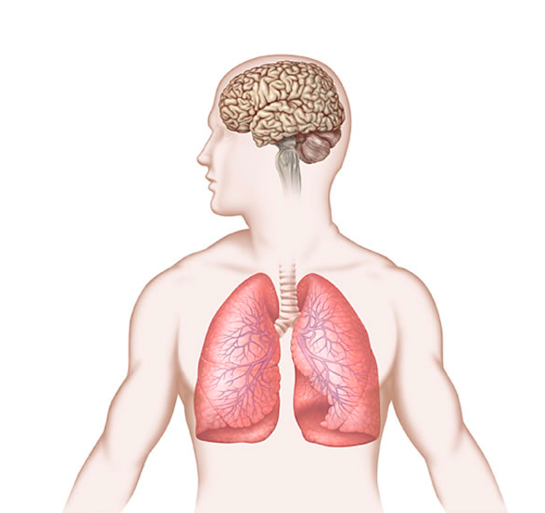 Методика легкого дыхания: избавит от головной боли и оздоровит носоглотку
