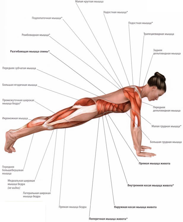 Здоровая спина: комплекс упражнений