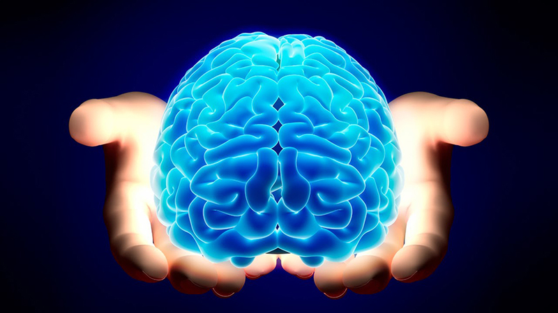Настоящие хозяева нашей головы: когнитивные схемы, которые управляют нашей жизнью 