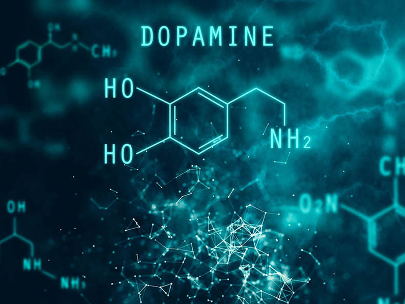 Эффективные добавки для повышения дофамина