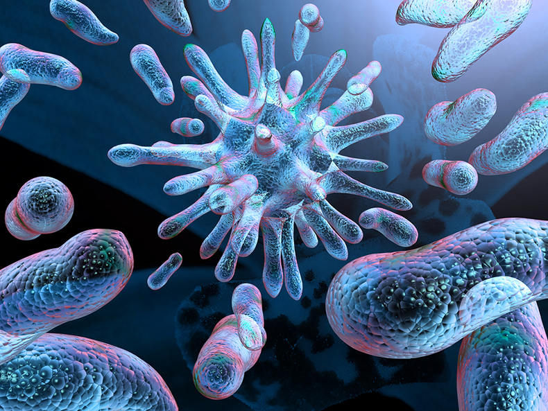 Бактерии и грибы - причина злокачественных новообразований