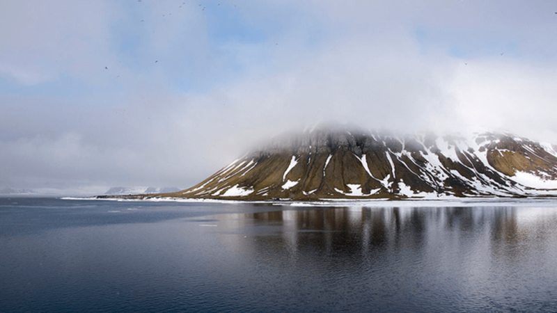 Российская Арктика ежегодно теряет миллиарды тонн льда из-за потепления климата