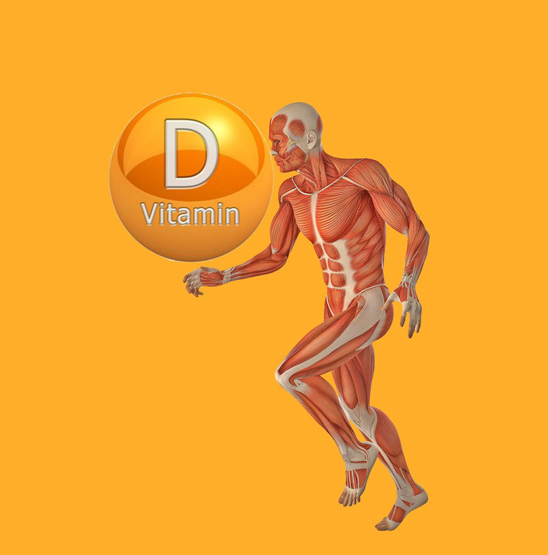 Что говорят исследования витамина D