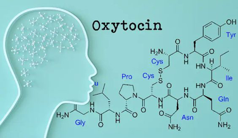 Об окситоцине, гормоне любви (или гормоне агрессии, если его много)