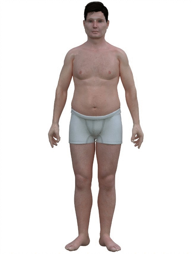 Как выглядит тело среднестатистического мужчины