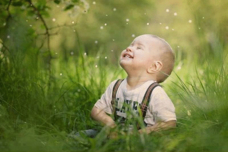 Научите своих детей  Быть Счастливыми в жизни — несколько простых истин