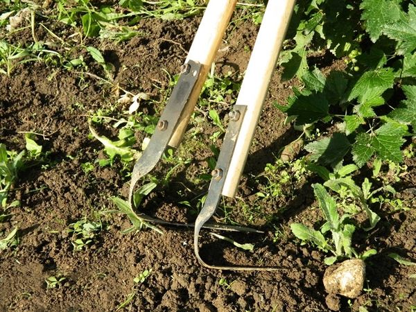 Лопата и Ко: инструменты для обработки почвы